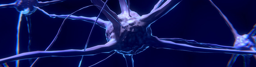 methodik neuromentaltraining header